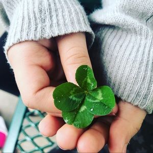 Meet your Posher, Shelby